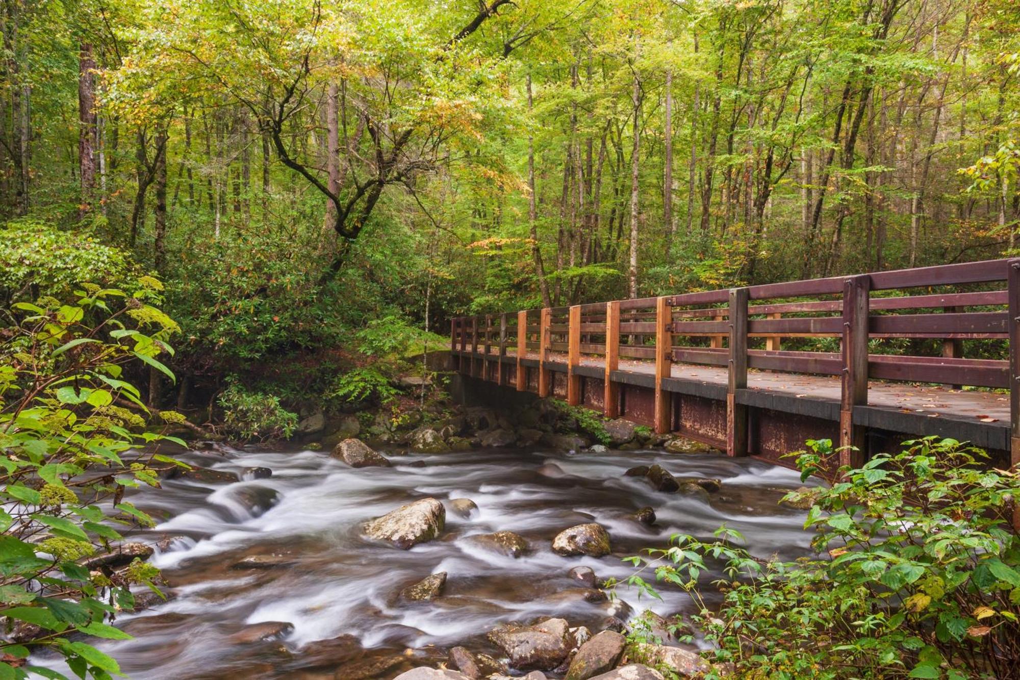 Laurel Cottage, 1089 Free Tickets Each Paid Day, Dollywood And More Sevierville Εξωτερικό φωτογραφία